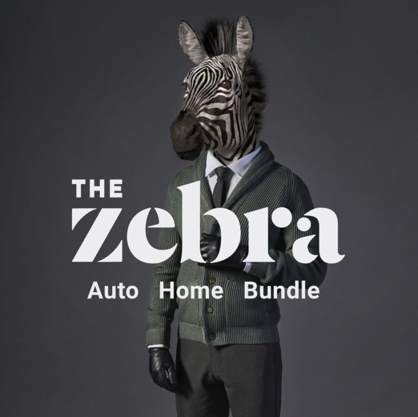 Navigate the Insurance Jungle with The Zebra