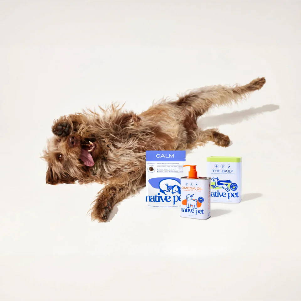Native Pet Review: Vet-Crafted Dog Supplements That Make Daily Health Support Feel Simple